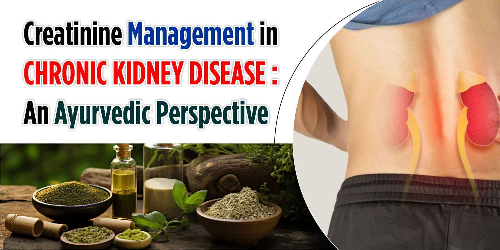 Creatinine Management in Chronic Kidney Disease: An Ayurvedic Perspective